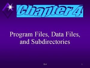 Program Files Data Files and Subdirectories Ch 4
