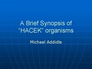 A Brief Synopsis of HACEK organisms Michael Addidle