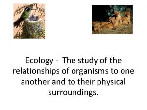 Ecology The study of the relationships of organisms
