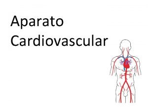 Venas caracteristicas