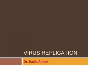 VIRUS REPLICATION Dr Sadia Anjum The Hierarchical virus