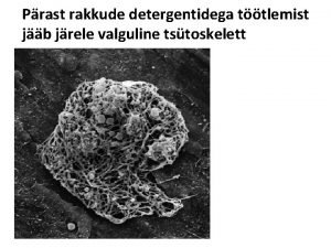 Prast rakkude detergentidega ttlemist jb jrele valguline tstoskelett