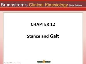 Brunnstroms Clinical Kinesiology Sixth Edition CHAPTER 12 Stance