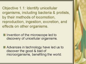 What do paramecium use to move
