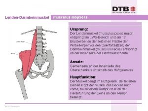 Lendendarmbeinmuskel