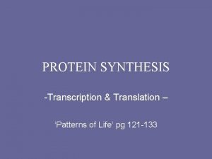 Protein synthesis animation mcgraw hill