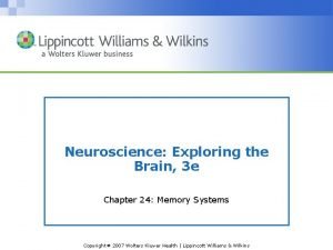 Neuroscience Exploring the Brain 3 e Chapter 24