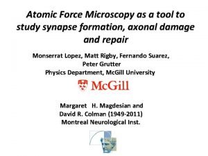 Atomic Force Microscopy as a tool to study