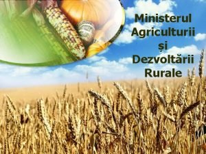 Ministerul Agriculturii i Dezvoltrii Rurale PNDR 2007 2013