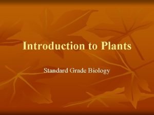 Introduction to Plants Standard Grade Biology Larch Reproduces