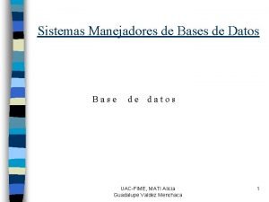 Sistemas manejadores de base de datos