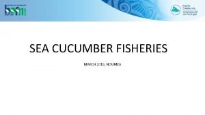 SEA CUCUMBER FISHERIES MARCH 2019 NOUMEA OUTLINE Status
