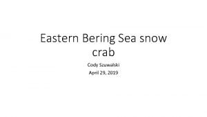 Eastern Bering Sea snow crab Cody Szuwalski April