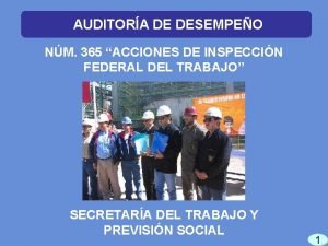 AUDITORA DE DESEMPEO NM 365 ACCIONES DE INSPECCIN