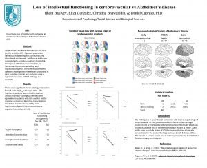 Loss of intellectual functioning in cerebrovascular vs Alzheimers