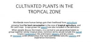 CULTIVATED PLANTS IN THE TROPICAL ZONE Worldwide more