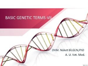 BASIC GENETIC TERMSVII DVM Nket BLGEN Ph D