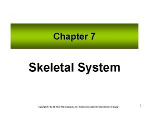 Chapter 7 Skeletal System Copyright The Mc GrawHill