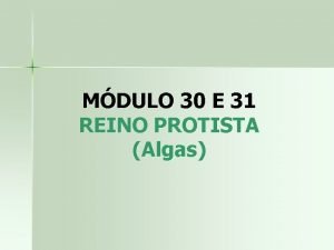 Reprodução de algas