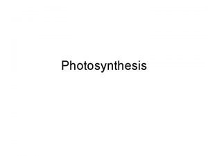 Photosynthesis Photosynthesis is a producer Photosynthesis nourishes most