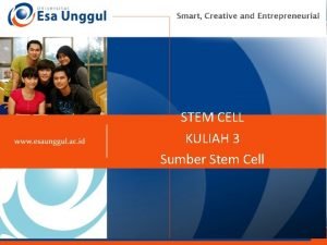 STEM CELL KULIAH 3 KKKkkkk Sumber Stem Cell