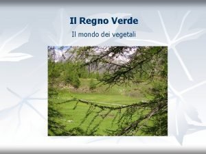 Il regno verde