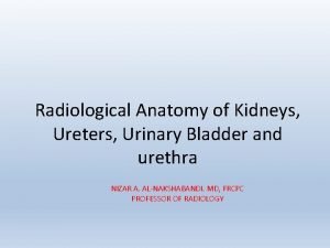 Radiological Anatomy of Kidneys Ureters Urinary Bladder and