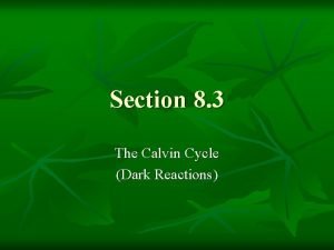 What is the calvin cycle