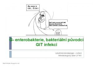 G enterobakterie bakteriln pvodci GIT infekc Lkask mikrobiologie