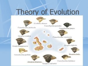 Theory of Evolution Evolution is the change in