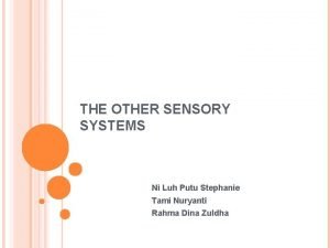 THE OTHER SENSORY SYSTEMS Ni Luh Putu Stephanie