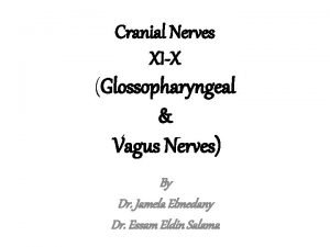 Cranial Nerves XIX Glossopharyngeal Vagus Nerves By Dr