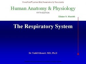 Larynopharynx