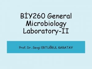 BY 260 General Microbiology LaboratoryII Prof Dr Sevgi