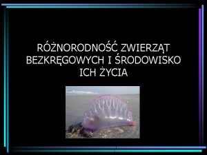 RNORODNO ZWIERZT BEZKRGOWYCH I RODOWISKO ICH YCIA RODOWISKO