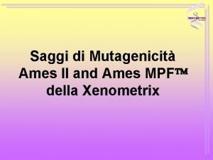 Saggi di Mutagenicit Ames II and Ames MPF