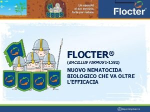 Flocter