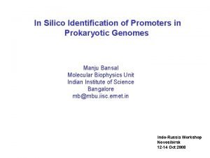 In Silico Identification of Promoters in Prokaryotic Genomes