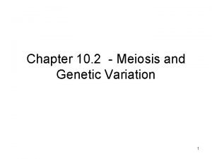 Meiosis genetic variation
