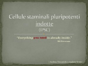 Cellule staminali pluripotenti indotte i PSC Everything you