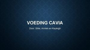 VOEDING CAVIA Door Silke Anniek en Kayleigh HET