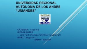 UNIVERSIDAD REGIONAL AUTNOMA DE LOS ANDES UNIANDES CTEDRA