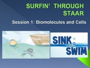 SURFIN THROUGH STAAR Session 1 Biomolecules and Cells