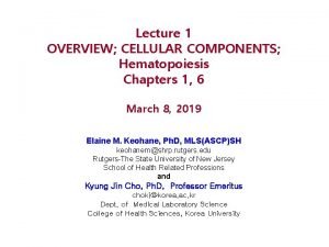 Lecture 1 OVERVIEW CELLULAR COMPONENTS Hematopoiesis Chapters 1