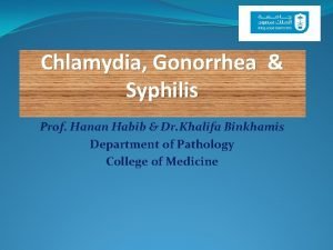 Chlamydia Gonorrhea Syphilis Prof Hanan Habib Dr Khalifa