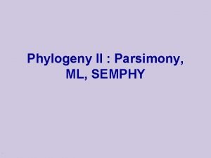 Phylogeny II Parsimony ML SEMPHY Phylogenetic Tree branch