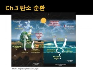 Humic acid wikipedia