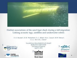 Habitat associations of the sand tiger shark during