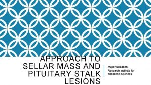 APPROACH TO SELLAR MASS AND PITUITARY STALK LESIONS