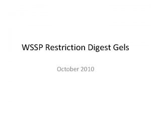 WSSP Restriction Digest Gels October 2010 17 AXB